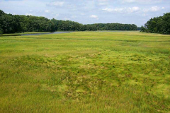 <strong>Estuary Habitats</strong><br />Peconic Estuary, Flanders, NY<div class="galCredit">Image Credit: Charles Roman (NPS)</div>