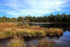 <strong>Freshwater Marsh</strong><br />Katahdin Woods and Waters National Monument, ME<div class="galCredit">Image Credit: Seth Lerman (NPS)</div>