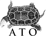 American Turtle Observatory