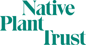 Native Plant Trust
